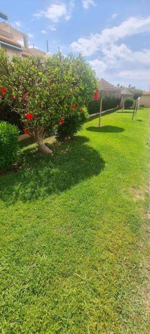 Bungalow Avec Piscine Torrevieja Bagian luar foto