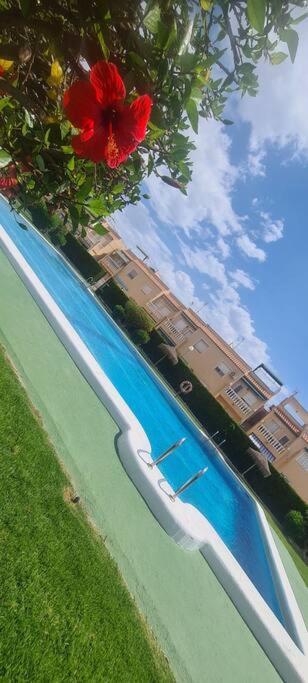 Bungalow Avec Piscine Torrevieja Bagian luar foto